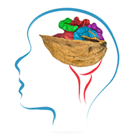 Mozog a výživa