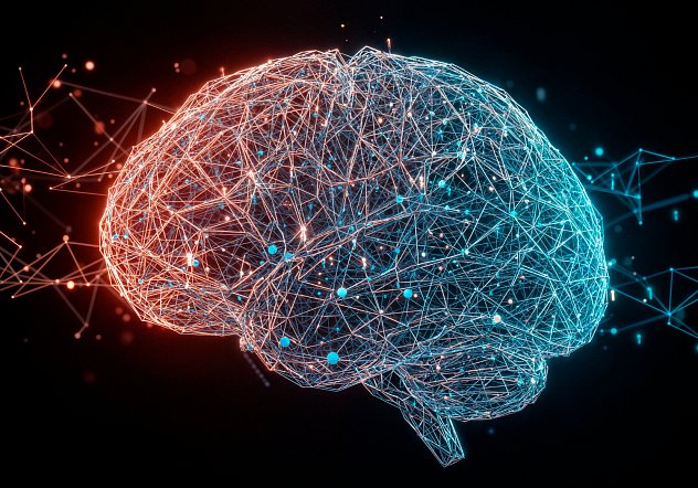 Ako funguje mozog