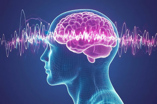 Mozgové vlny: neviditeľné tajomstvo v našej hlave