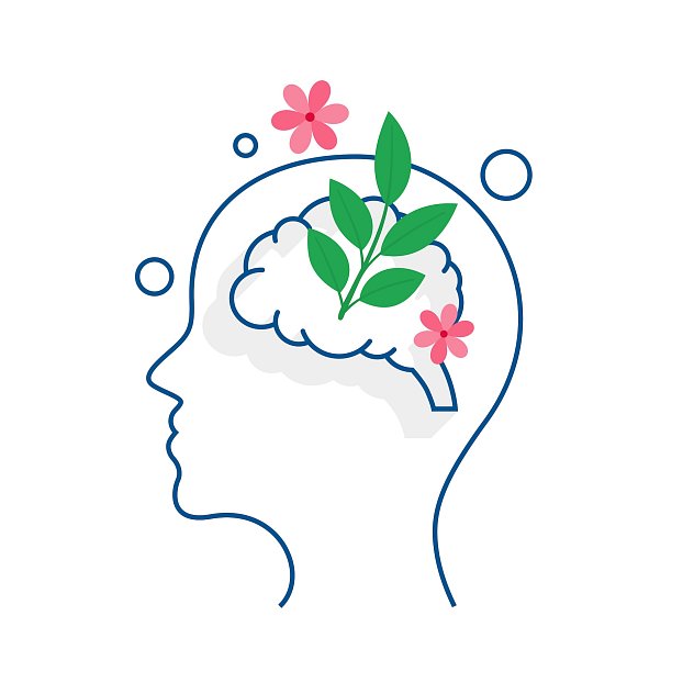 Zaujímavosti o našom mozgu